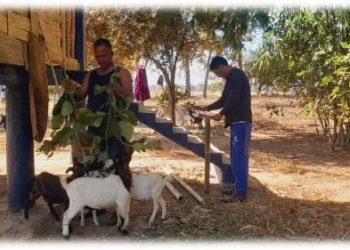 WhatsApp Image 2025-07-03 at 21.21.23