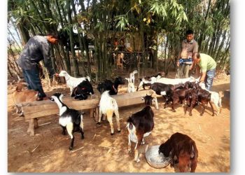 WhatsApp Image 2025-07-03 at 21.21.30