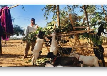 WhatsApp Image 2025-07-03 at 21.21.38